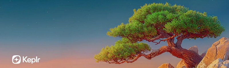 Keplr 助记词：如果助记词丢失、无效或缺字该怎么办