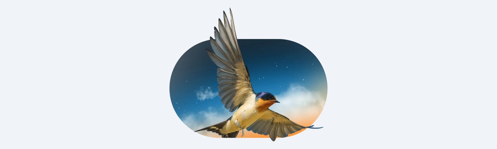 忘记了 Keplr 钱包密码？如何找回（2026）